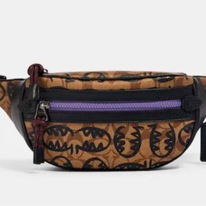 Coach Vale Belt Bag In Signature Canvas With Rexy By Guang Yu